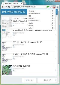 seesaa1.jpg