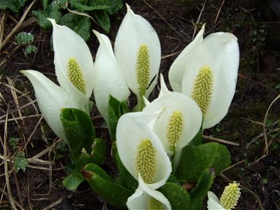 20070601.jpg