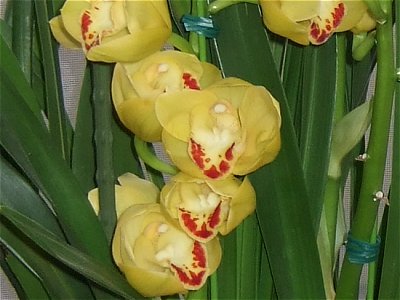 20080430-2.jpg