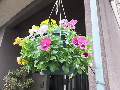 20131109-1.jpg