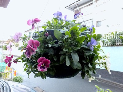 20131109-3.jpg
