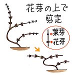 20140415-5.jpg