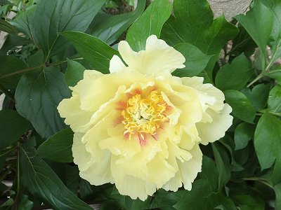 20140508-1.jpg