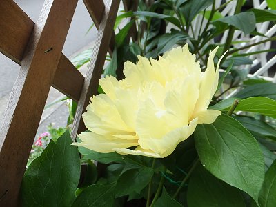 20140508-2.jpg