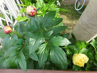 20140508-3.jpg