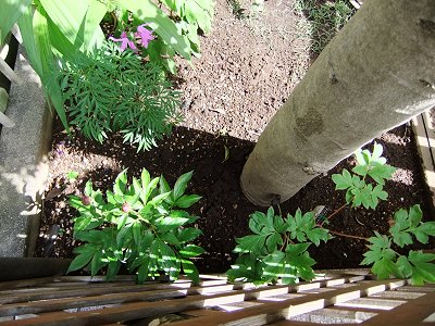20140508-4.jpg
