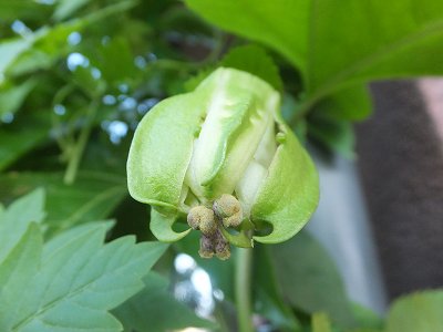 20140621-5.jpg