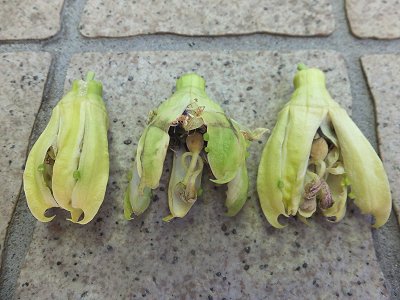 20140621-7.jpg