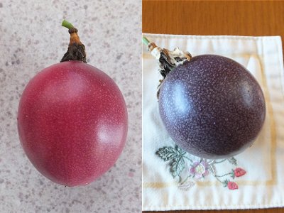 20140621-9.jpg