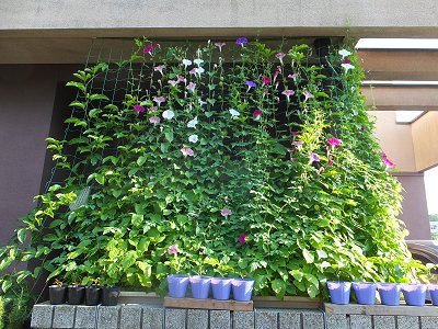 20140801-3.jpg