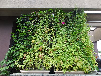 20140801-5.jpg