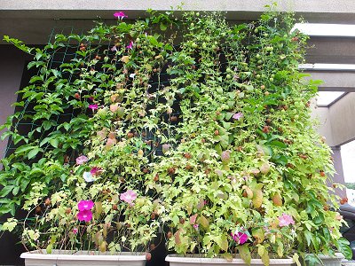 20140801-7.jpg