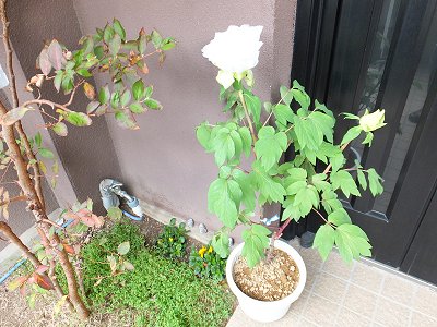 20141204-1.jpg