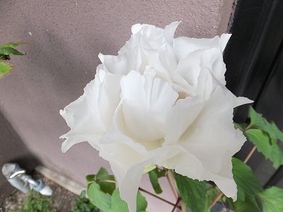 20141204-2.jpg
