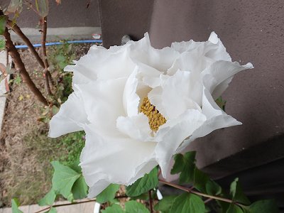 20141204-3.jpg