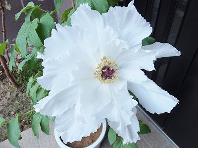 20141217-3.jpg