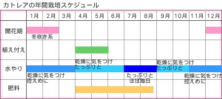 カトレア年間管理表