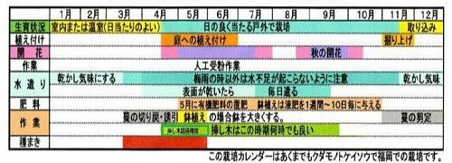パッションフルーツ年間管理表.jpg