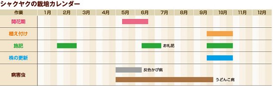 芍薬年間管理表.jpg