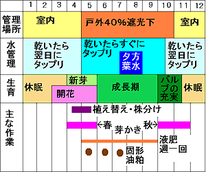 sukejuru-sinbi.gif